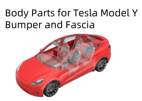 La liste des parties du corps et le catalogue pour Tesla modèle Y